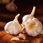 Cebula jadalna, ciekawostki i historia