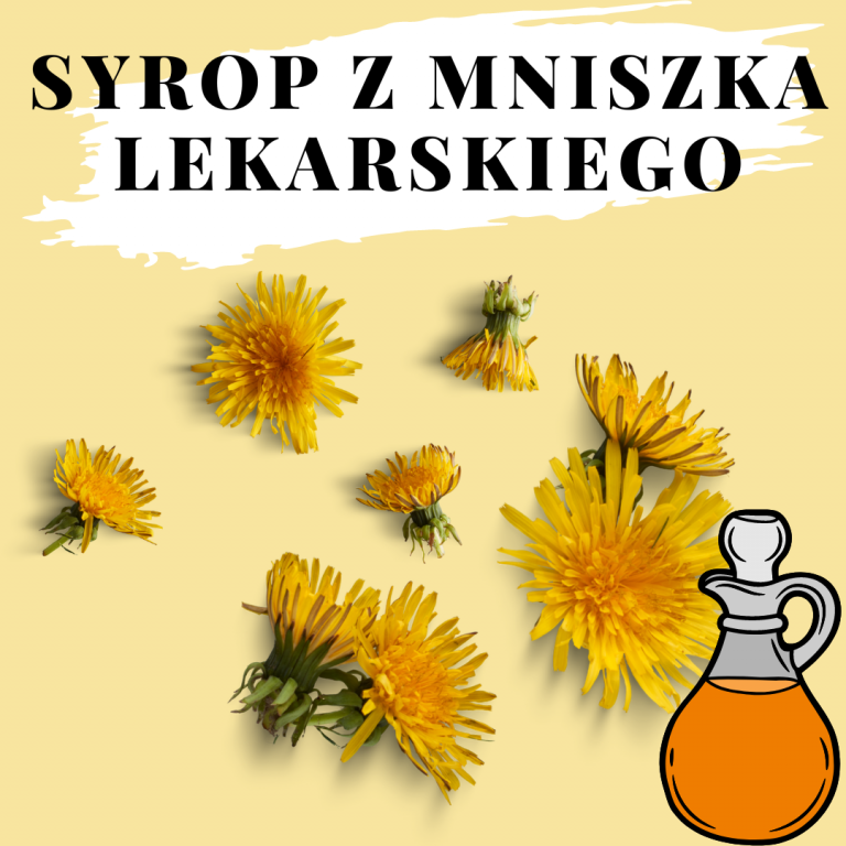 syrop z mniszka