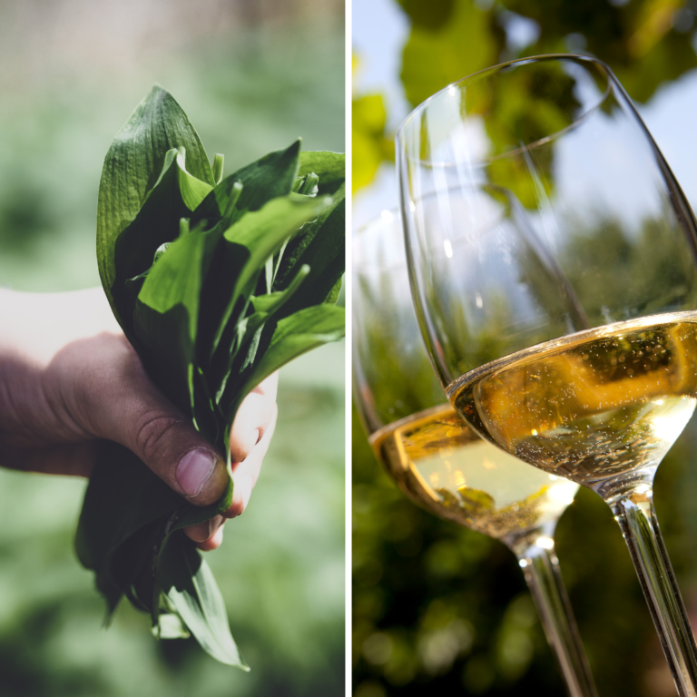 Wino z czosnkiem niedźwiedzim