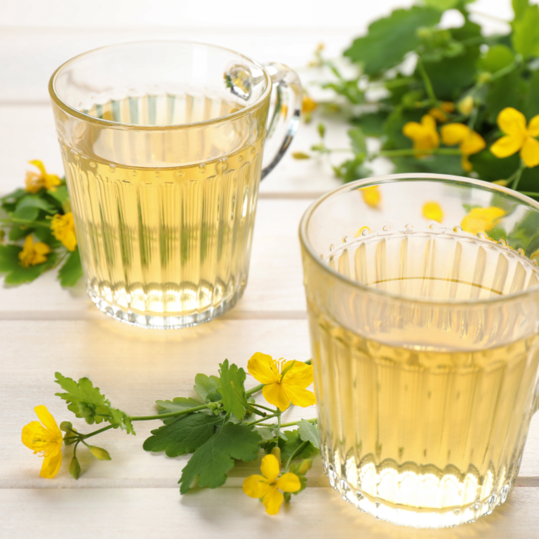 Napar glistnikowy – Infusum Chelidonii