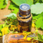 Napar glistnikowy – Infusum Chelidonii