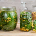 Napar glistnikowy – Infusum Chelidonii