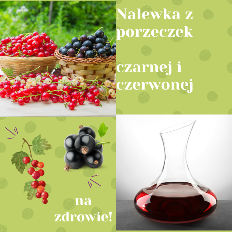 Nalewka z czarnej i czerwonej porzeczki