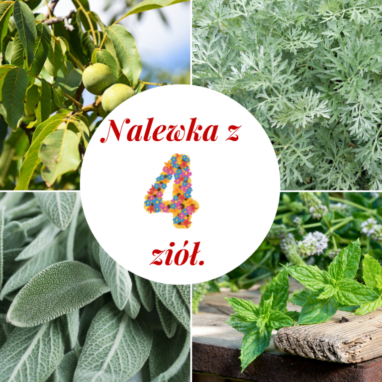 Nalewka z 4 ziół