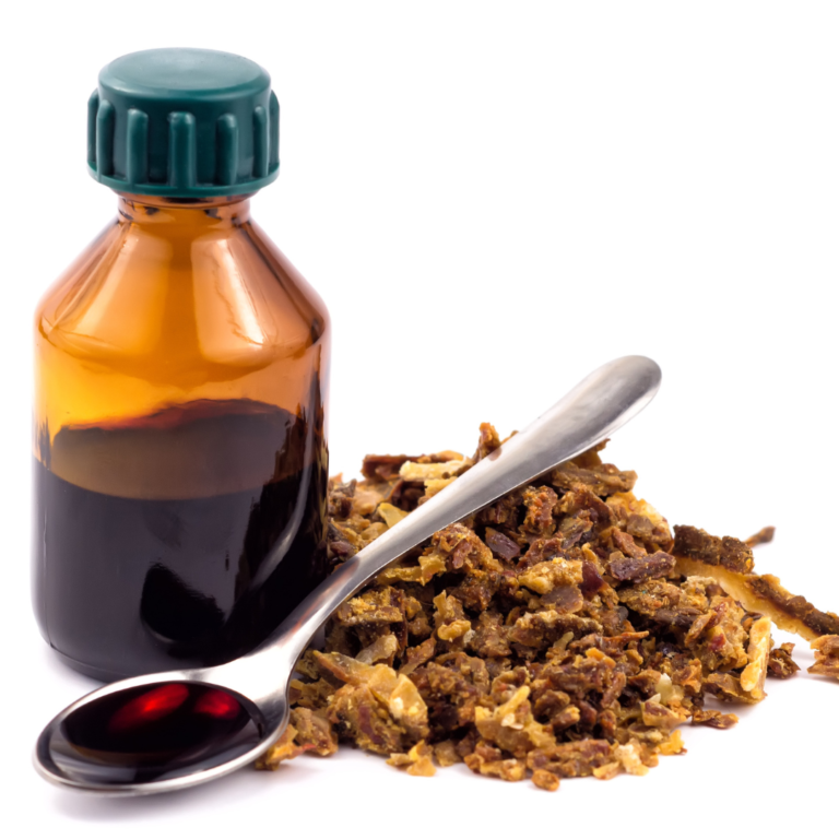 Propolis – Najstarszy Lek Słowiańszczyzny
