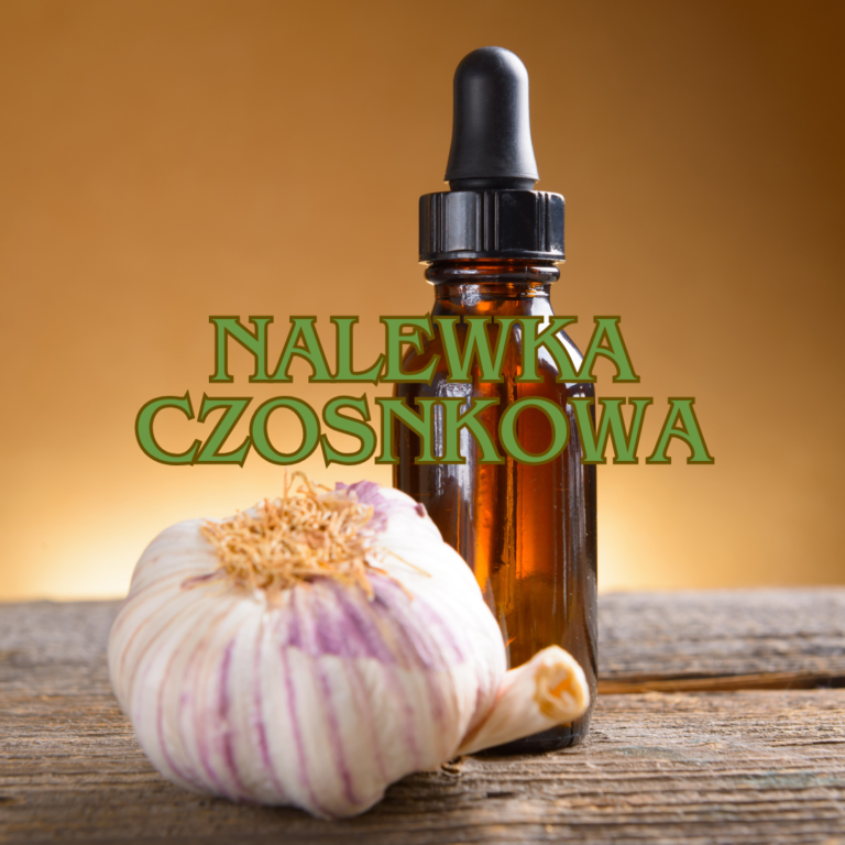nalewka czosnkowa